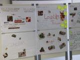 IMG_2387 IMG_2387