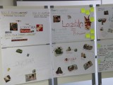 IMG_2388 IMG_2388