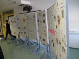 IMG_2389 IMG_2389