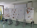 IMG_2390 IMG_2390