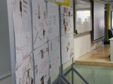 IMG_2391 IMG_2391